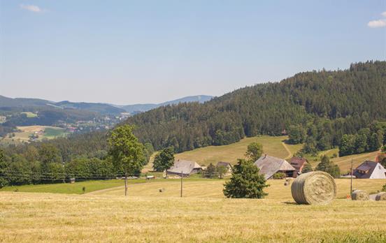 Schwarzwaldhöfe ©Hochschwarzwald Tourismus