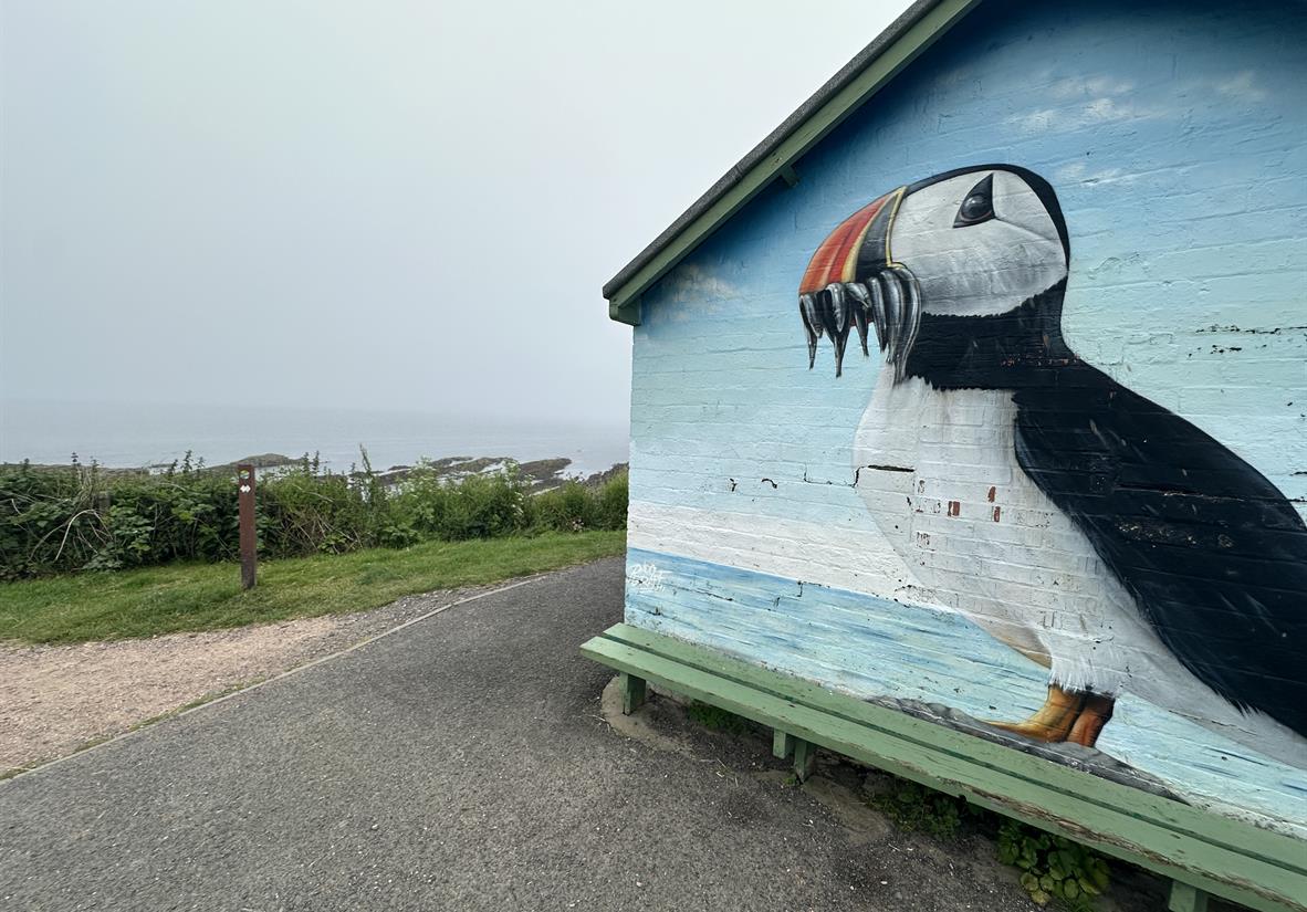 Puffin Mural