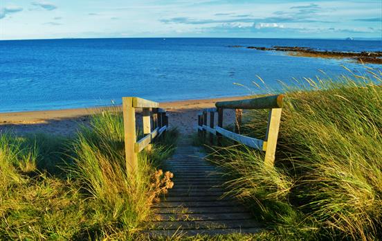 Traumpfad an der St.Monans Windmühle