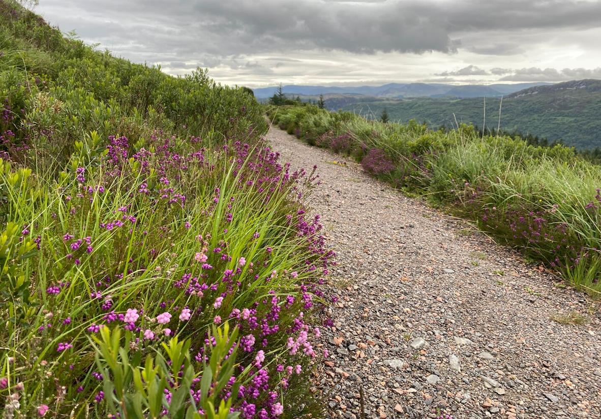Auf dem Weg nach Invermoriston
