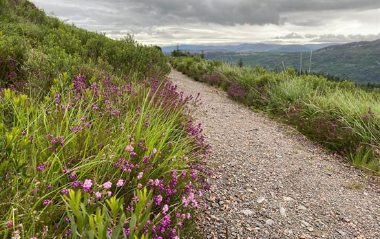 Auf dem Weg nach Invermoriston