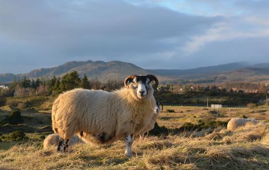The Highlands!