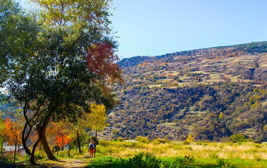warming tones of the Las Alpujarran landscape