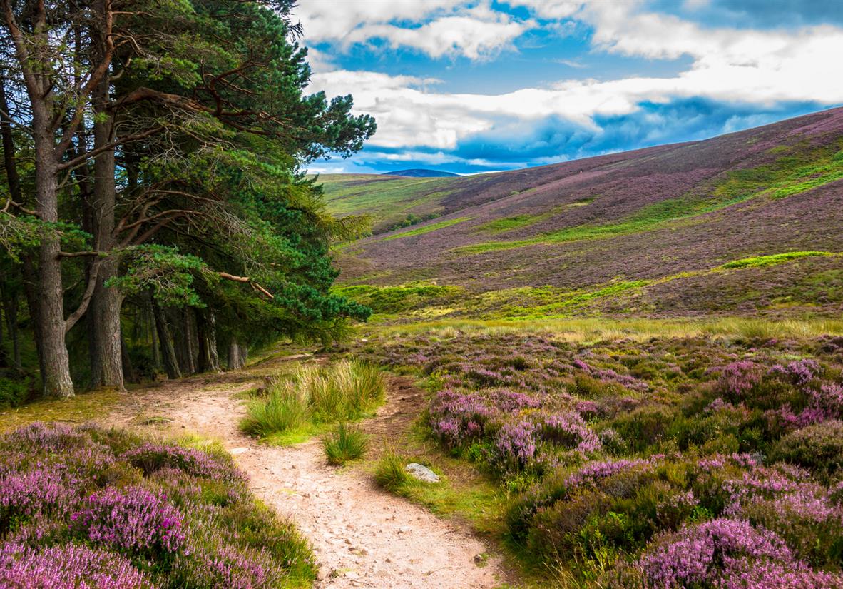Explore the Cairngorms on good paths