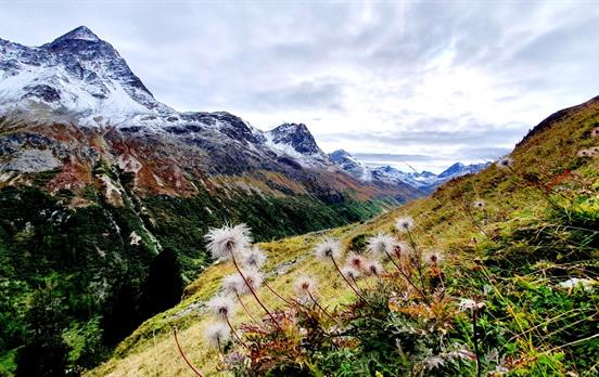 Über den Albula Pass