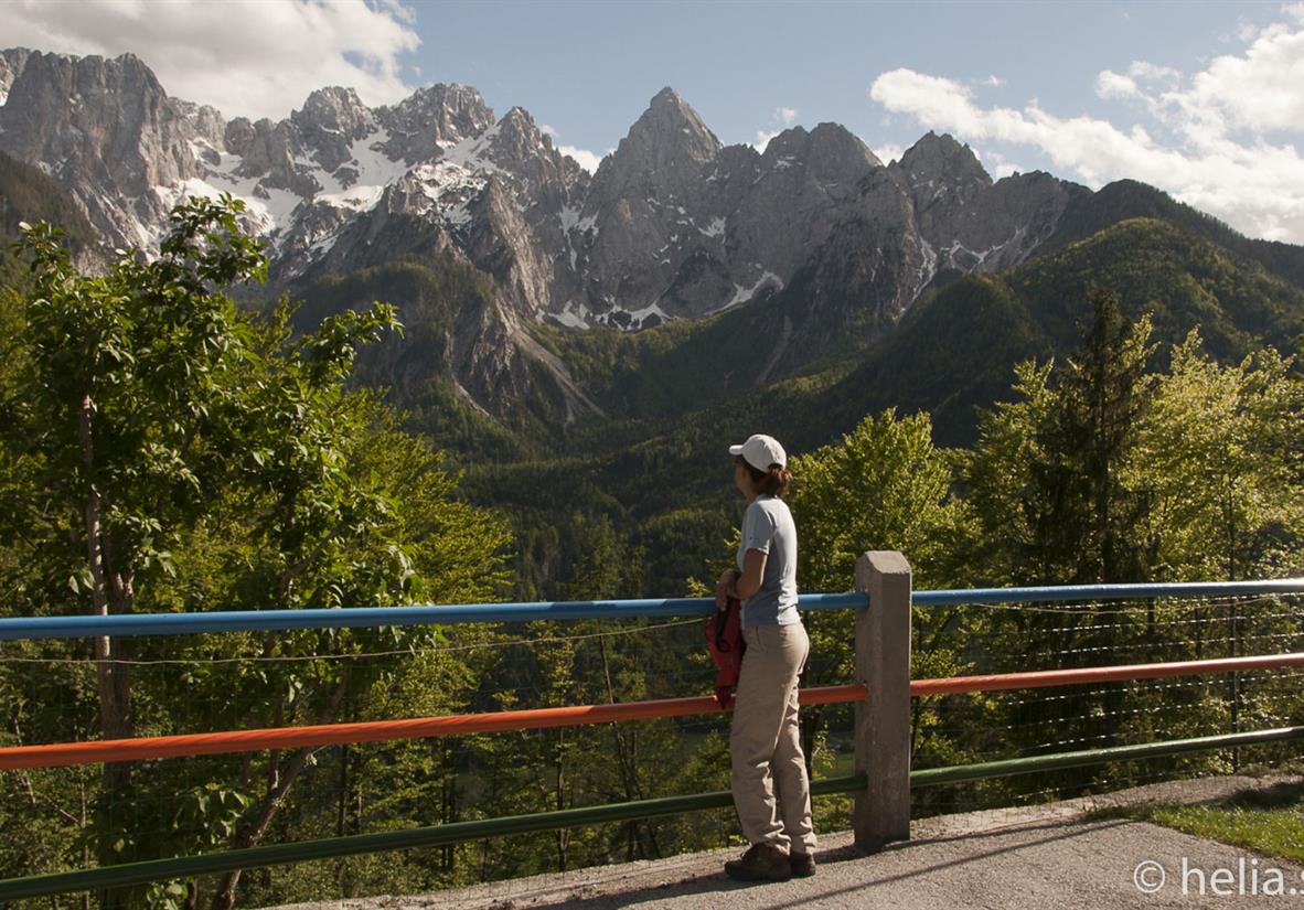 Ausblick auf die Steiner Alpen