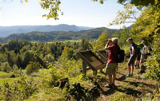 Wanderer auf dem Via Alpina