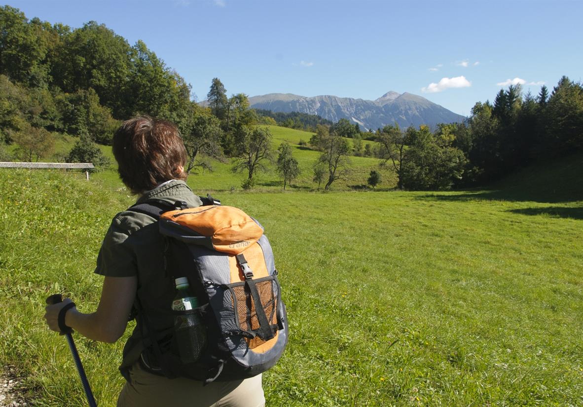 Grüne Almwiesen bei Bled