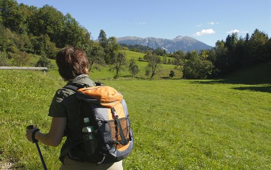 Grüne Almwiesen bei Bled