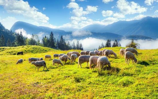 Ursprüngliche Berglandschaft