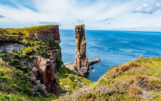 Seevogelkolonien in den Kippen