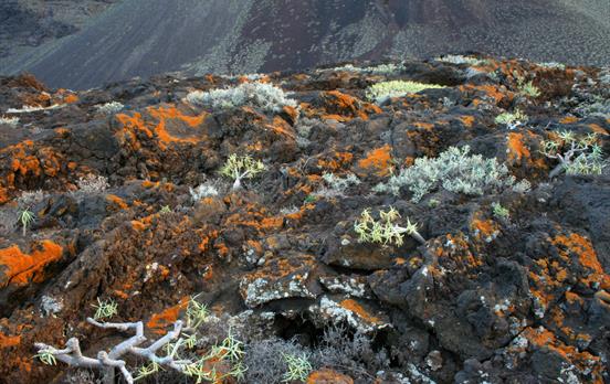 El Hierro's colourful volcanic landscapes