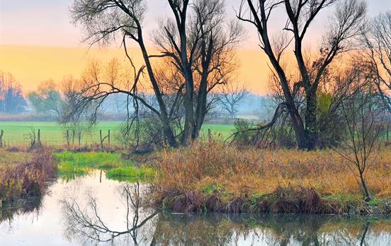 Morgenstimmung an den Fließen