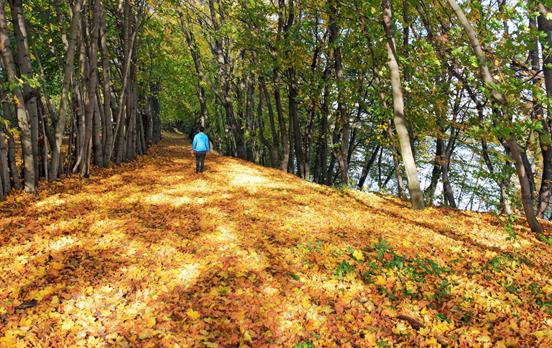 Umgeben von Herbstfarben