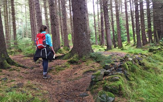 Lizzie im Craggan Forest auf dem Weg nach Killin