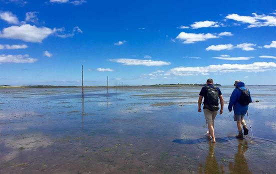 Crossing at low tide to the Holy Isle