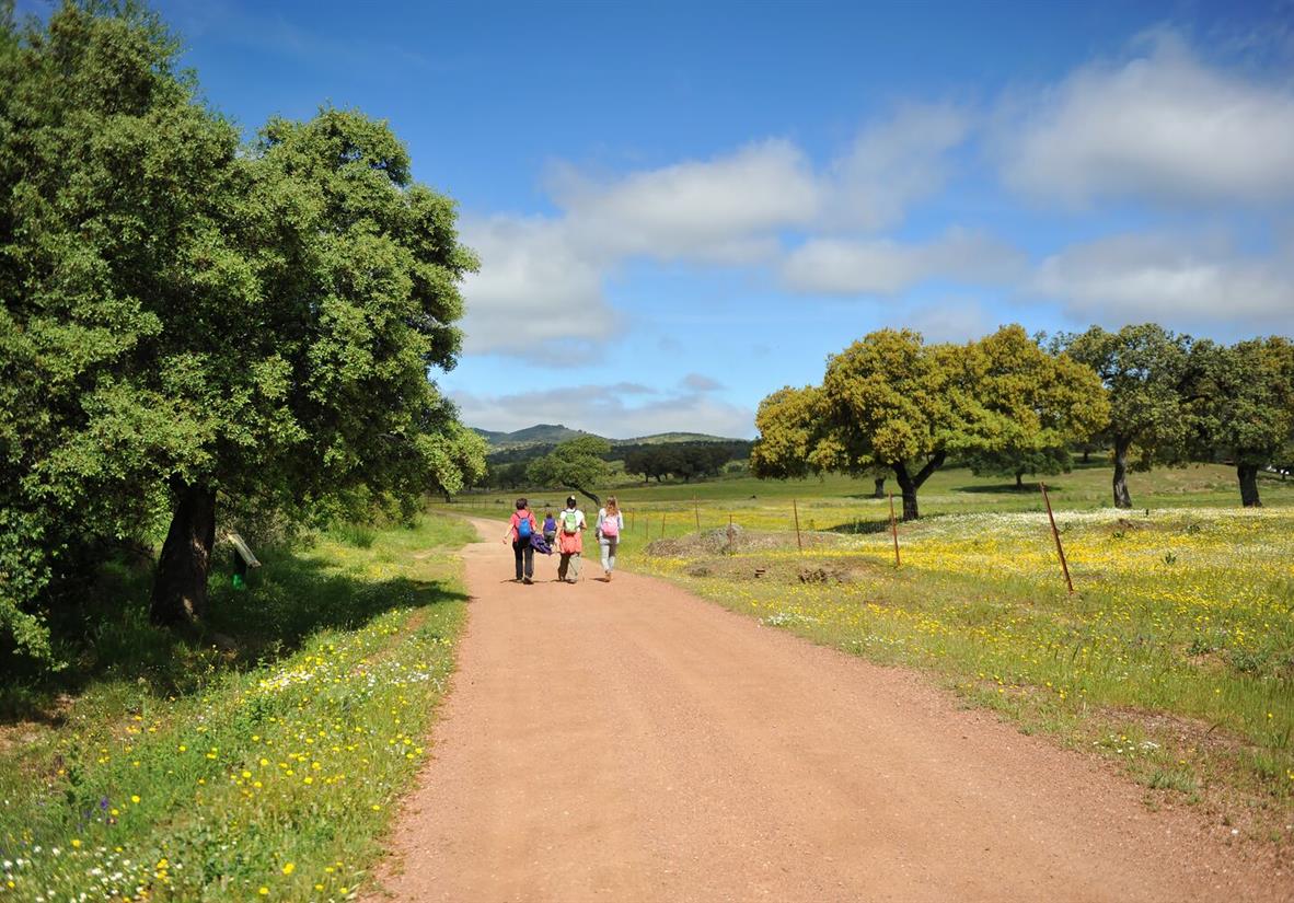 Enjoy easy walking down peaceful country lanes