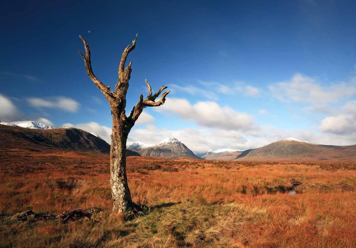 Rannoch Moor
