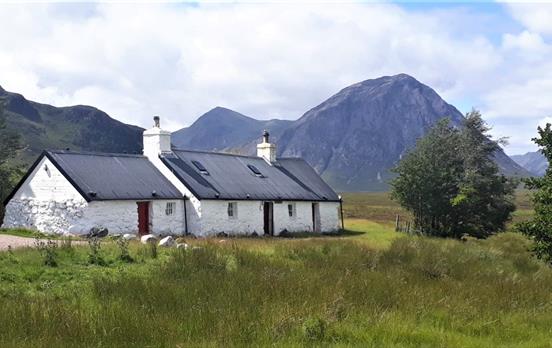 1500CaraWHWCovid2020III