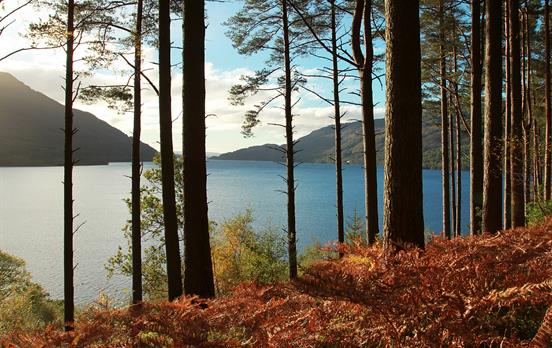 The bonnie banks of Loch Lomond