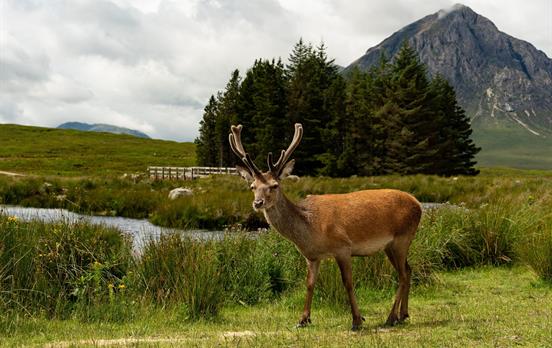 West Highland Way self-guided walking holiday