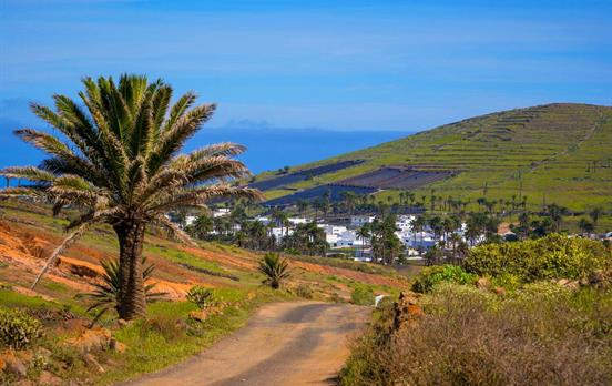 "Valley of a Thousand Palms", Haria
