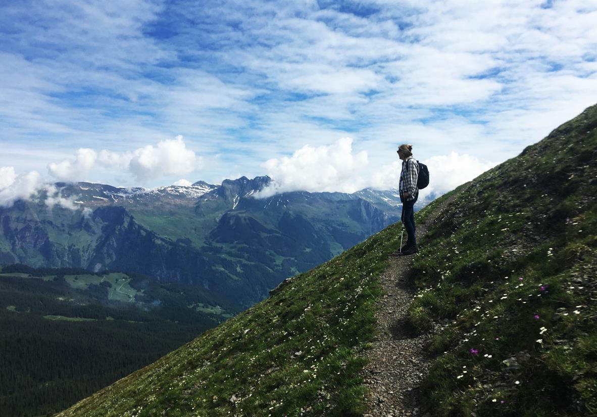 On the Eiger Trail