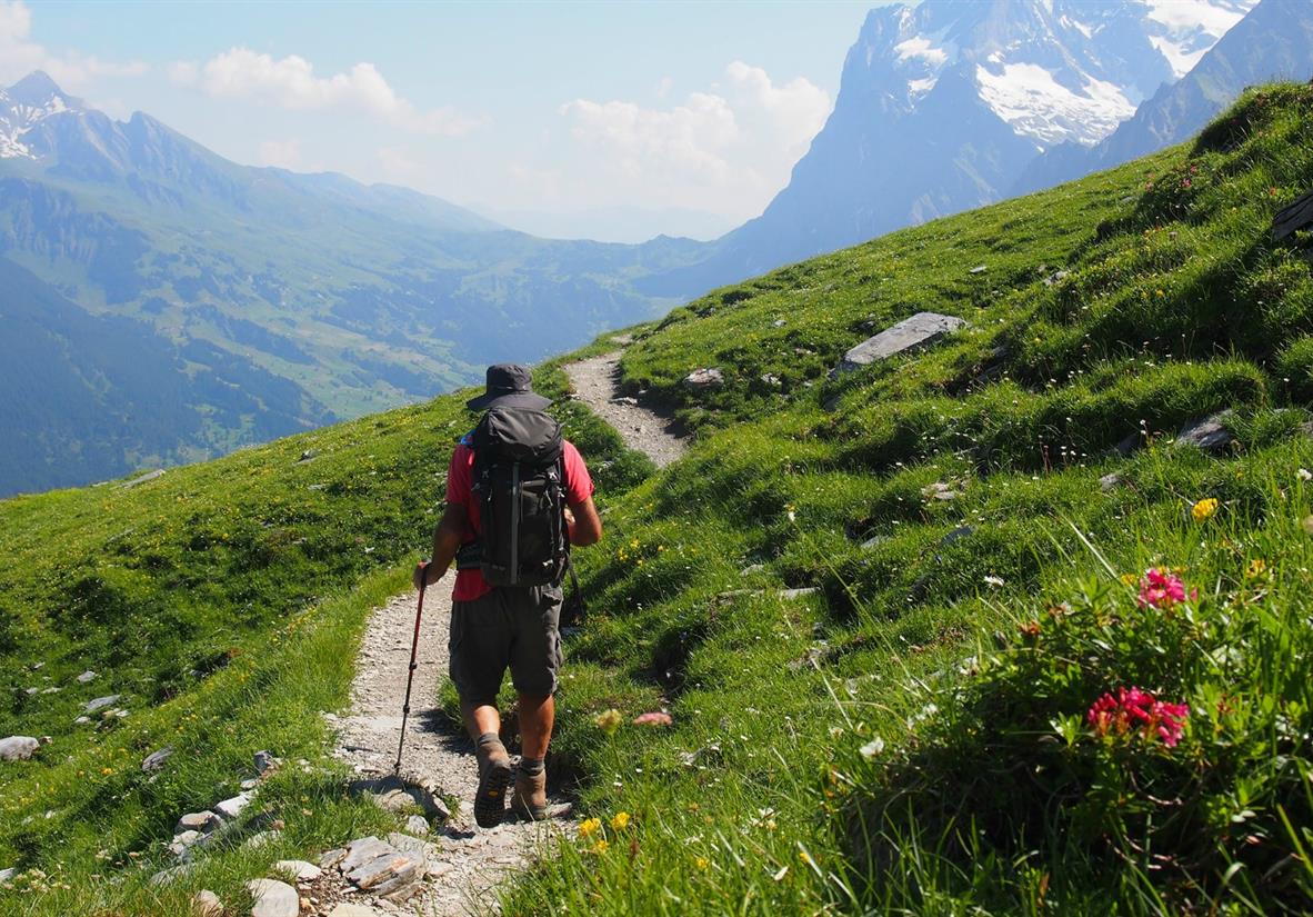 Enjoy a choice of varied walks each day