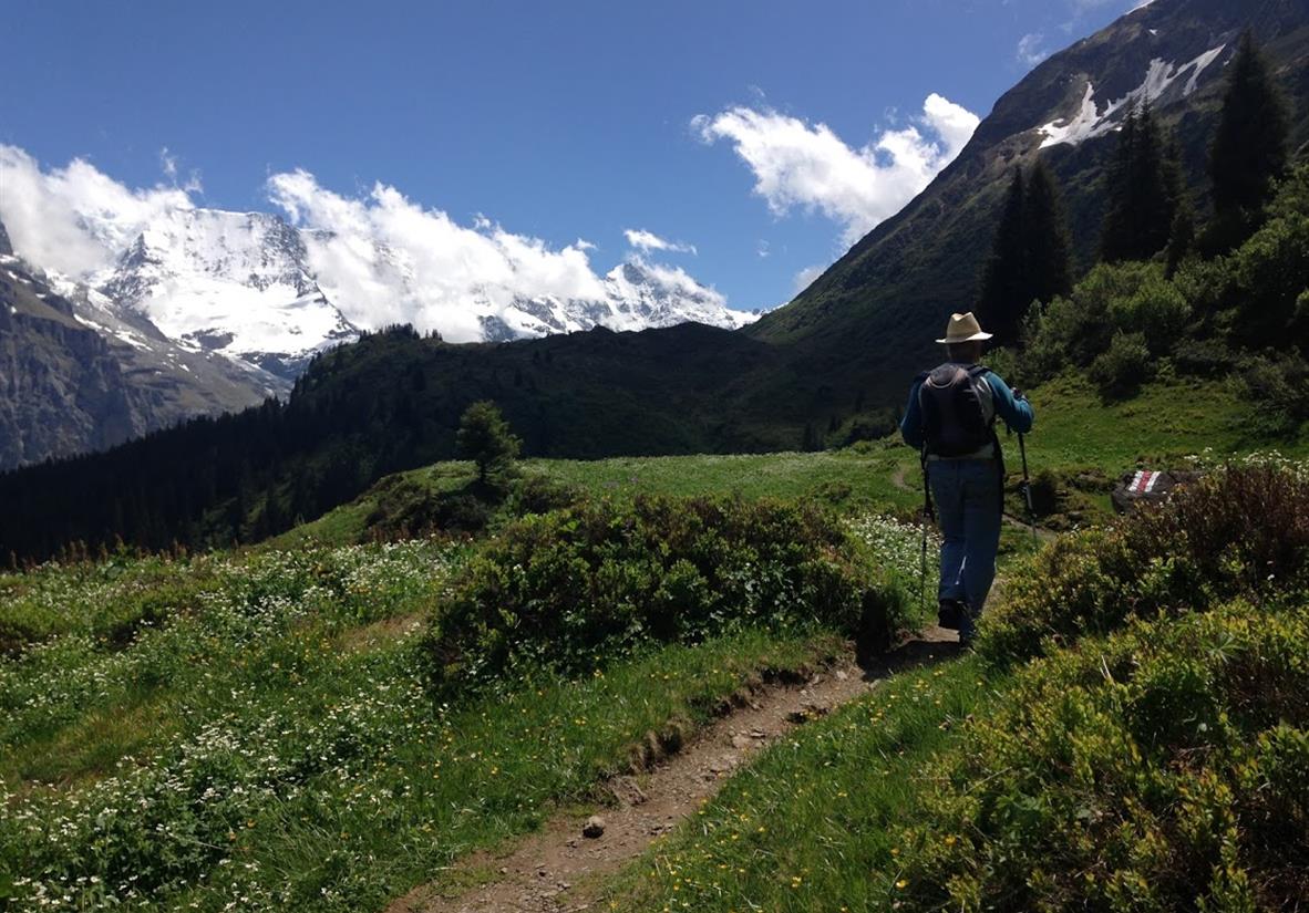 Enjoy alpine views