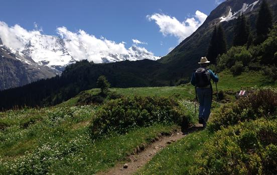 Genießen Sie die Aussicht auf die Alpen