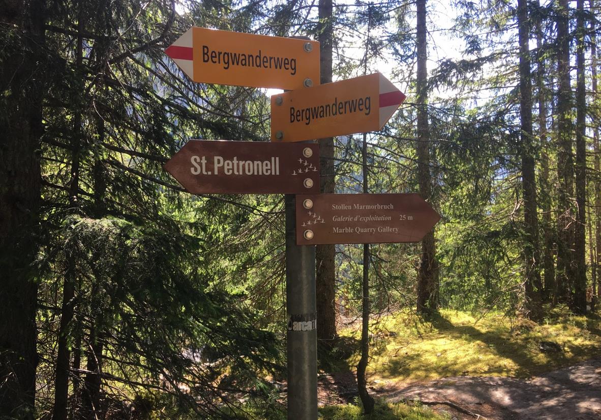 Waymarking in the forest