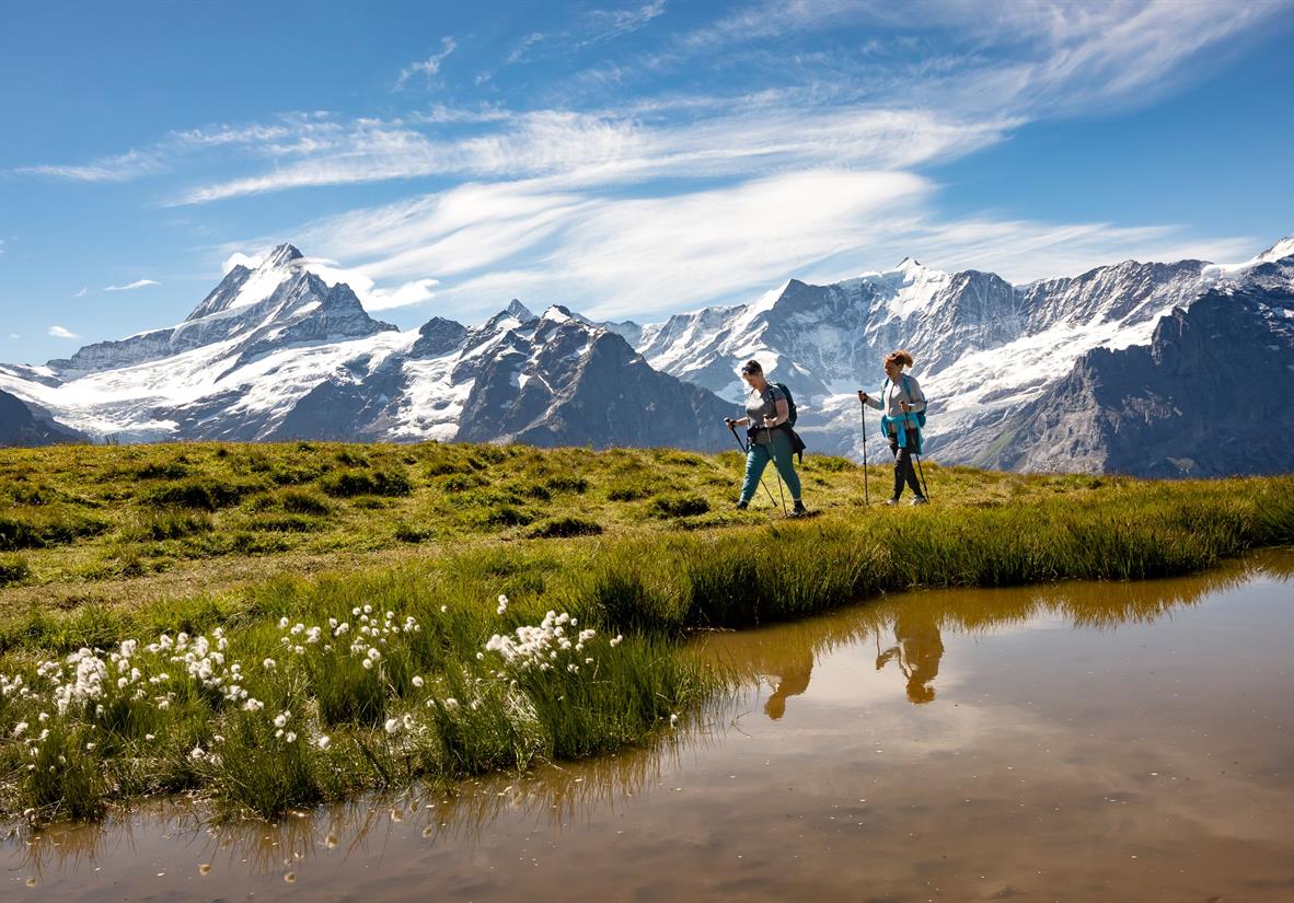 Walkers in front of the Eiger