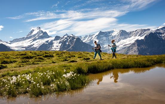 Walkers in front of the Eiger