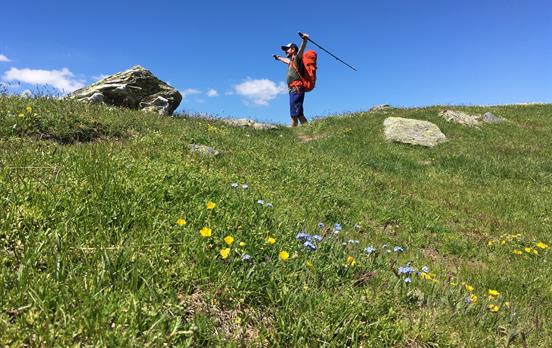 Walk through peaceful alpine meadows