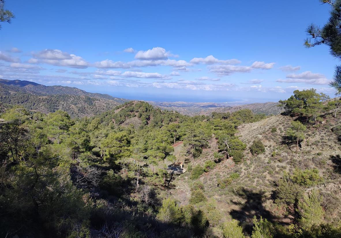 Ausblick im Troodos Gebirge