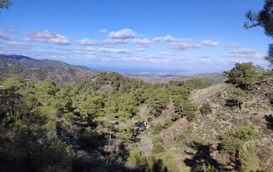 Ausblick im Troodos Gebirge