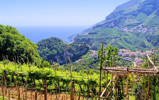 Weinberge über Ravello