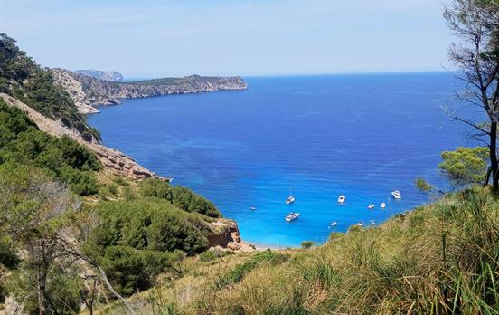 Cala Coll Baix in Alcúdia