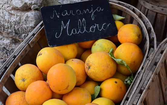 Mallorquinische Orangen