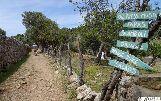 Wanderung von Soller nach Port de Soller
