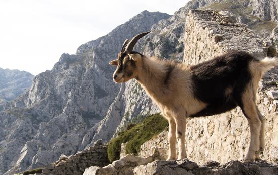 Meet the locals!