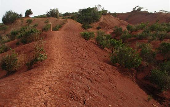 Wanderweg auf La Gomera