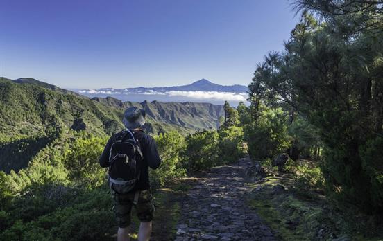 Garajonay Nationalpark mit Blick auf Teneriffa