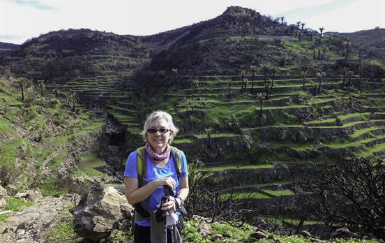 Terrassenanbau in Vulkanischer Erde