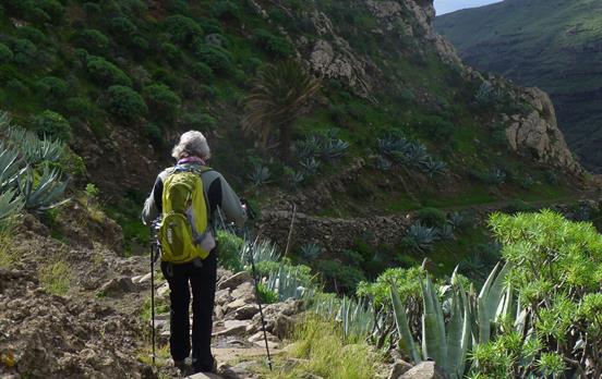 Wandern Sie auf schmalen Pfaden