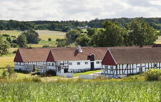 Typical Scanian houses in Österlen