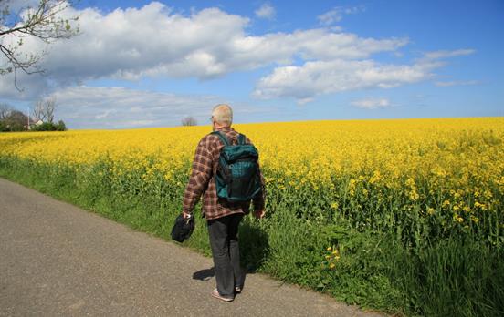 Walking is often flat; graded easy to moderate