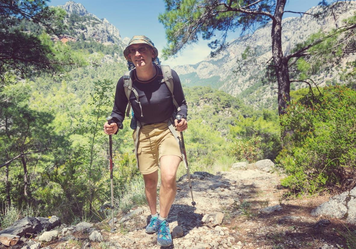 Walk along rugged forested paths