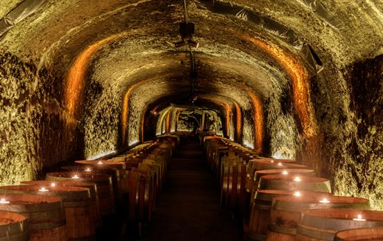 Schedule a visit & tasting at a winery