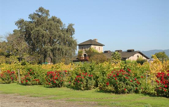 Beautiful stone vineyard in Glen Ellen